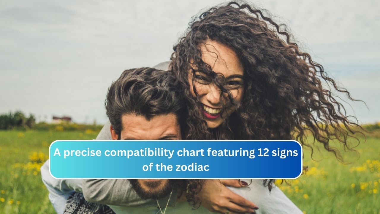 A precise compatibility chart featuring 12 signs of the zodiac